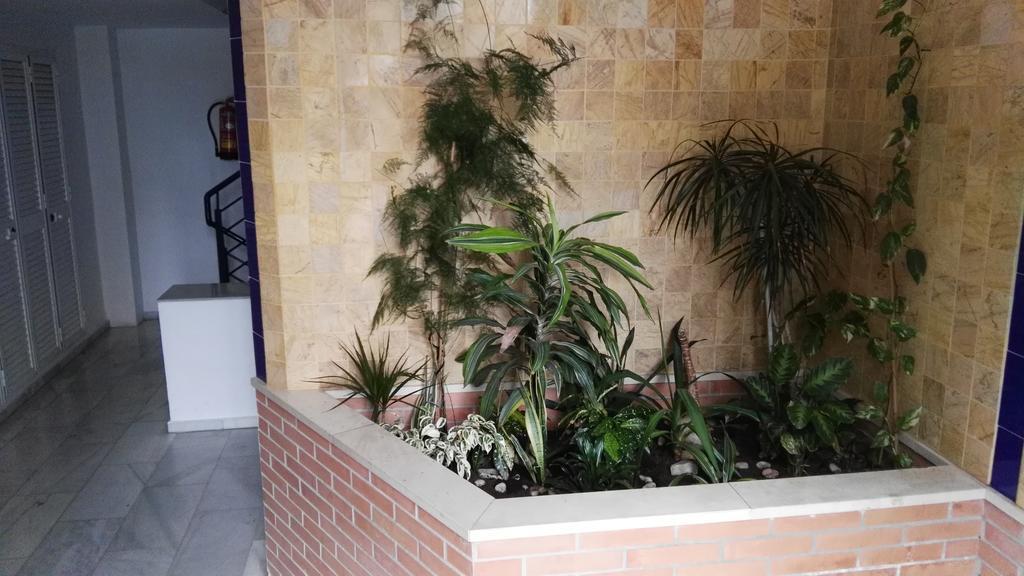 Fan Flat Eugenio Appartement